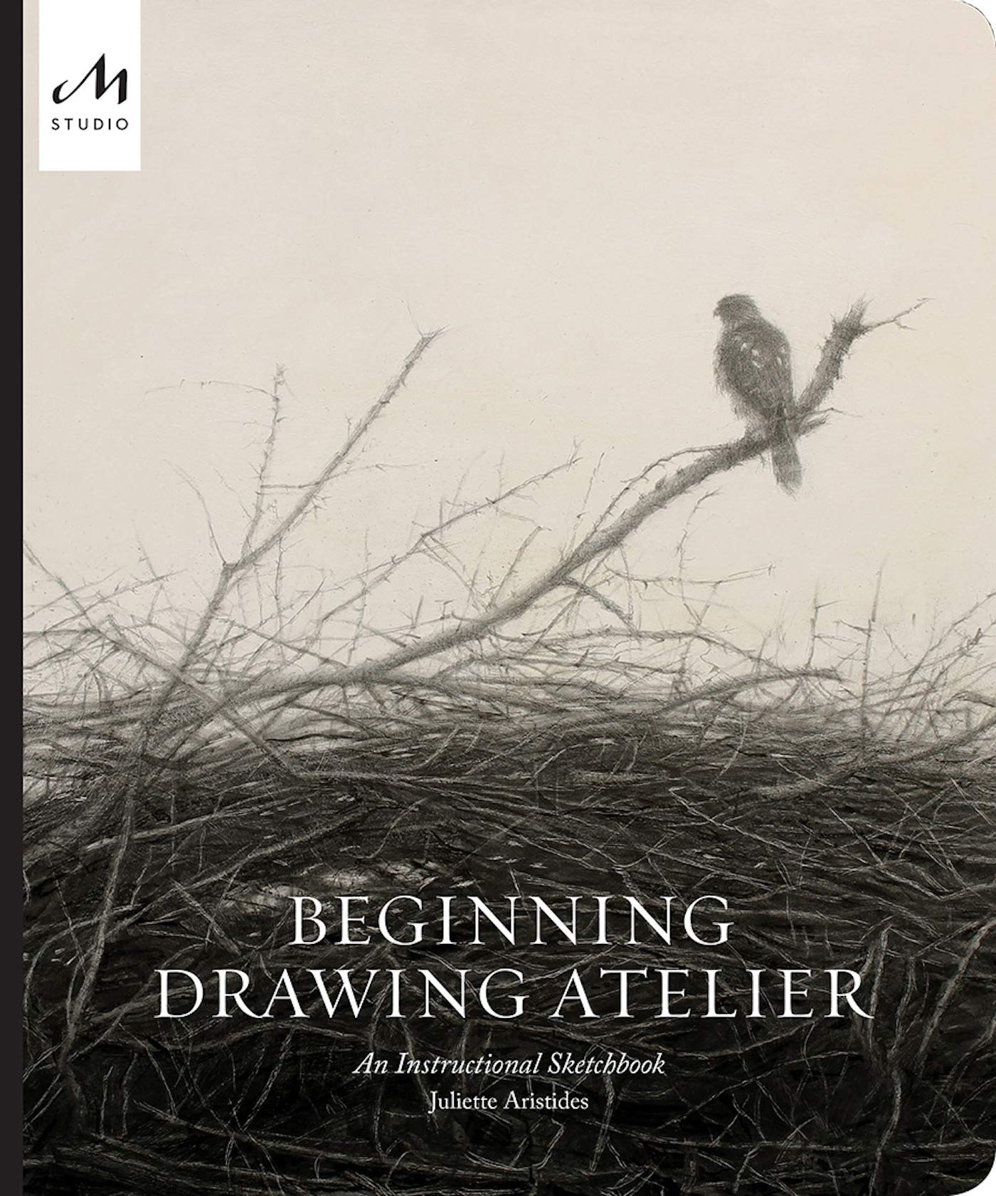 beginning_drawing_atelier City Book Review