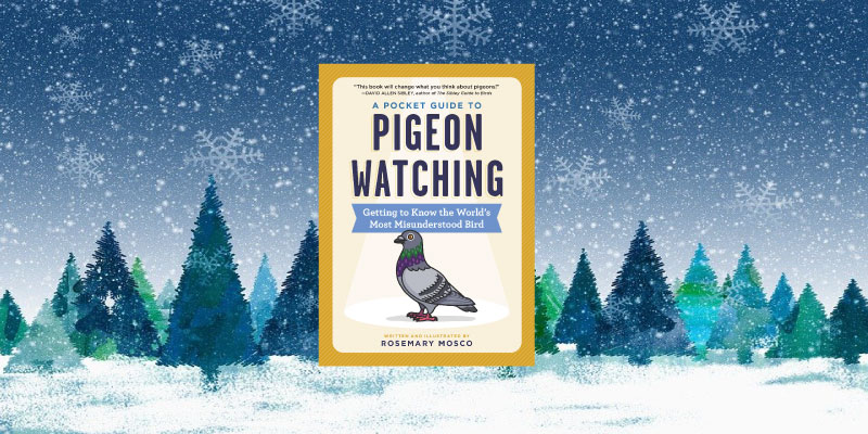 A Pocket Guide to Pigeon Watching: Getting to Know the World’s Most Misunderstood Bird