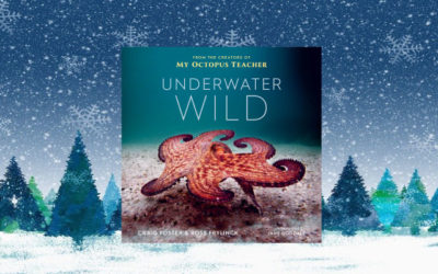 Underwater Wild: My Octopus Teacher’s Extraordinary World