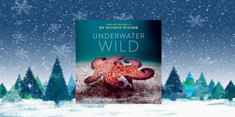 Underwater Wild: My Octopus Teacher’s Extraordinary World